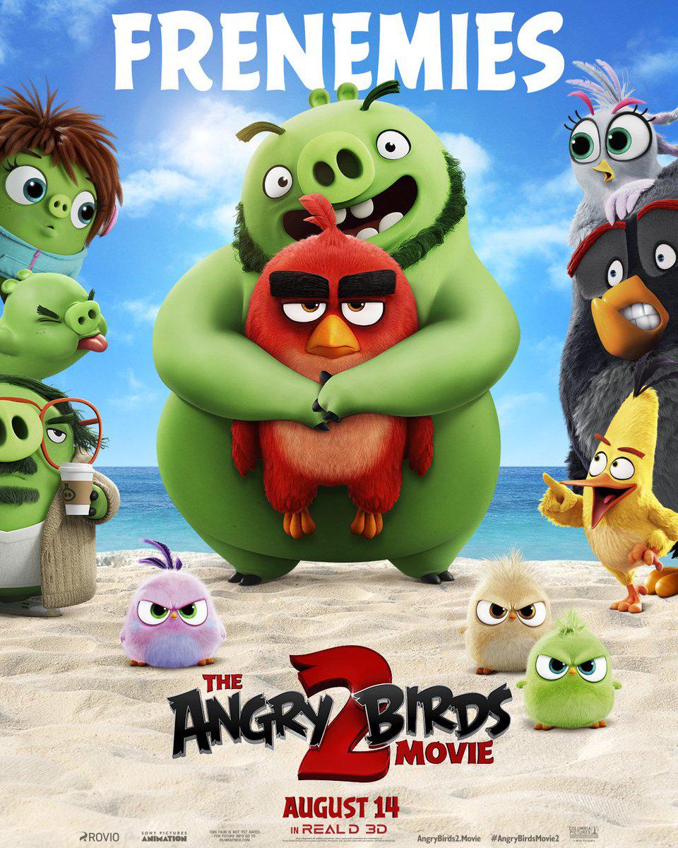 angry birds kino angry birds kino